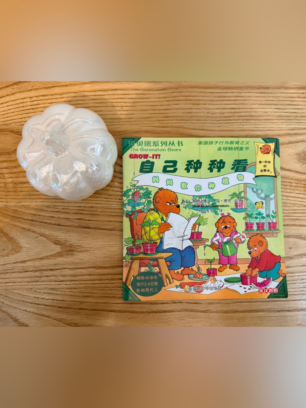 🌿10/$25 • The Berenstain Bears: Grow-It • CHINESE VERSION